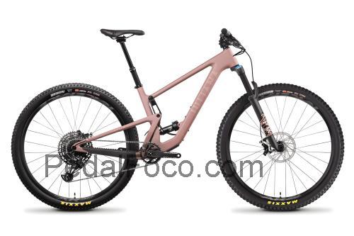 Santa Cruz Juliana Joplin ficha tecnica